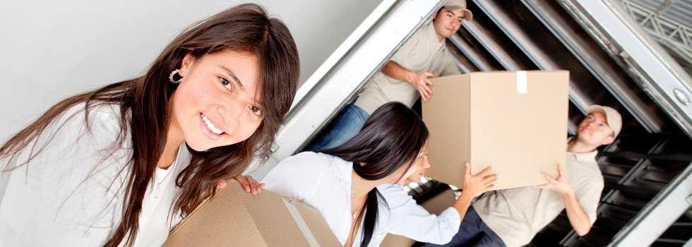 Professional Removalists Brinsmead